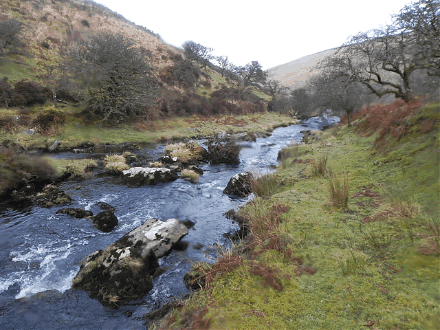 Downstream from Hoccombe Water join