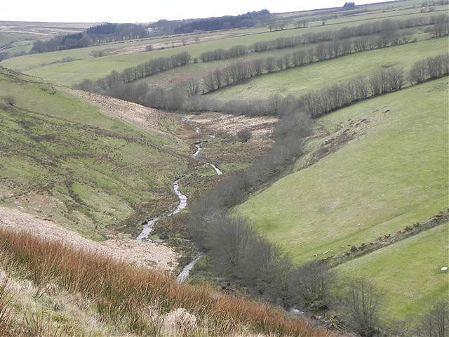 Valley below Wintershead Farm