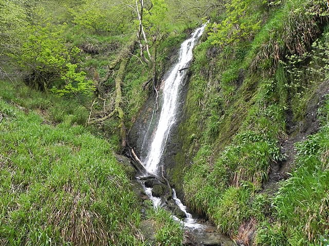 Forehill Wood waterfall