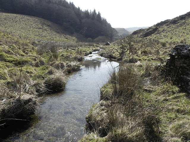 White Water flowing to join River Barle